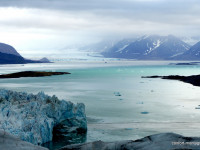 VOYAGE SPITZBERG RANDO GLACIAIRE & DÉCOUVERTES NATURALISTES
